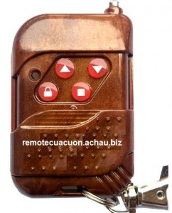 remote cửa cuốn vân gỗ
