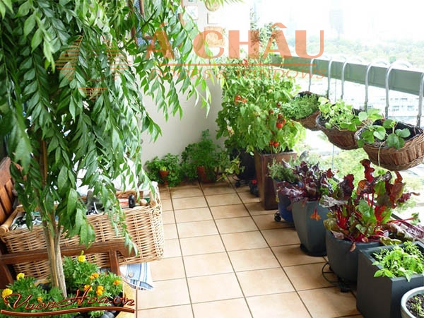 Tiểu cảnh đẹp cho sân thượng nhà phố