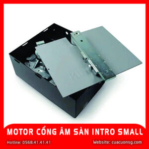 MOTOR CỔNG ÂM SÀN INTRO SMALL